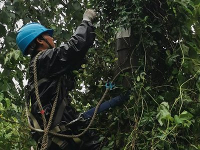 為戰(zhàn)臺(tái)風(fēng)保供電，創(chuàng)輝電氣這樣做